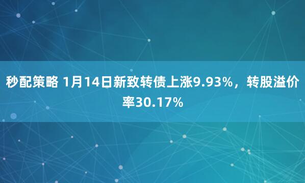 秒配策略 1月14日新致转债上涨9.93%，转股溢价率30.17%